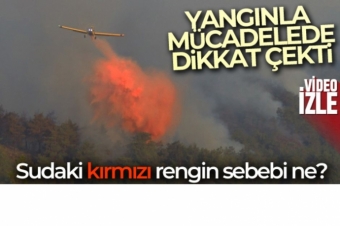 Orman Yangnları Yerli ve Milli Köpükle Sönüyor