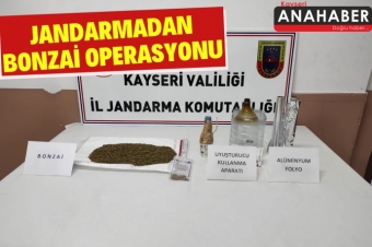 Jandarmadan bonzai operasyonu