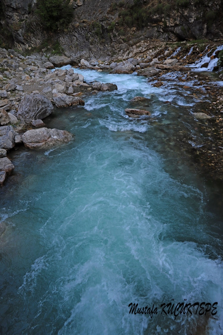 KAPUZBA�I �ELALES�