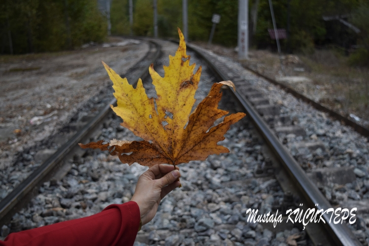 SONBAHAR YA�IYOR SOKAKLARIMA