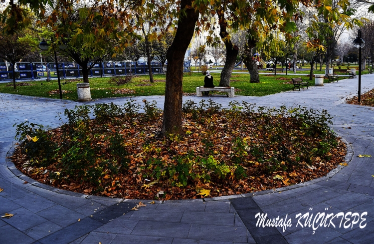 SONBAHAR YA�IYOR SOKAKLARIMA