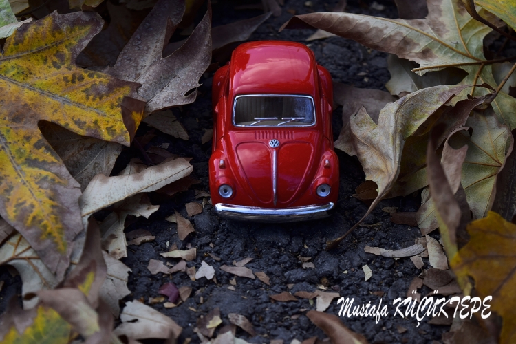 SONBAHAR YA�IYOR SOKAKLARIMA