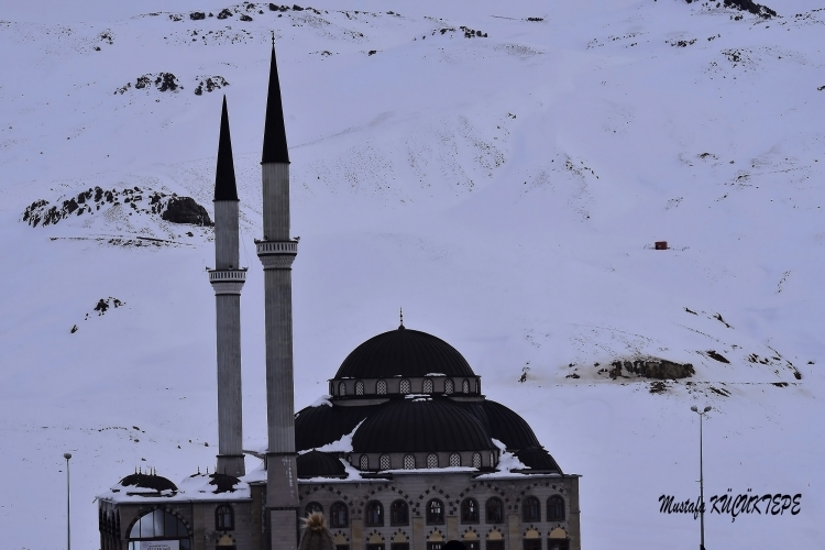 DA�LARIN G�RKEML�S� ERC�YES DA�I