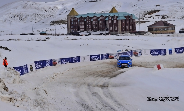 DA�LARIN G�RKEML�S� ERC�YES DA�I