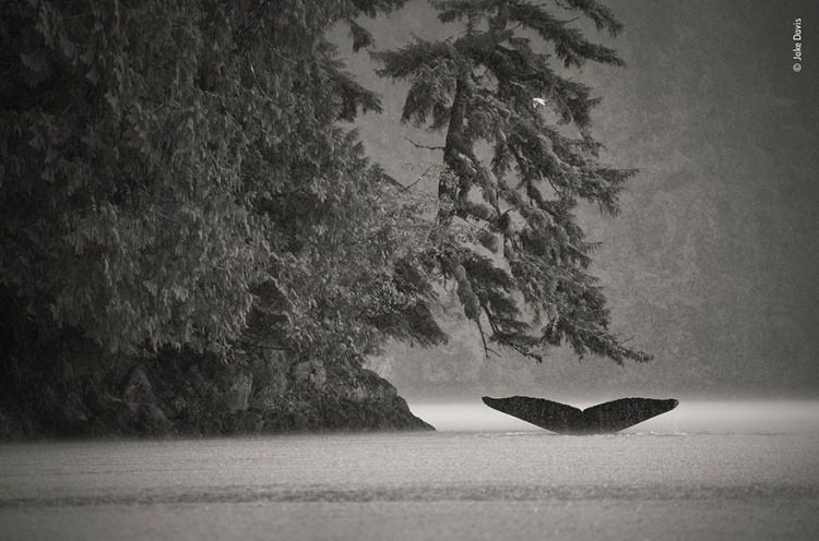 Objektife B�yle Yakaland�lar