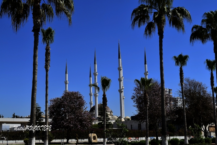 ANADOLU' NUN HER YANI AYRI B�R G�ZELL�K