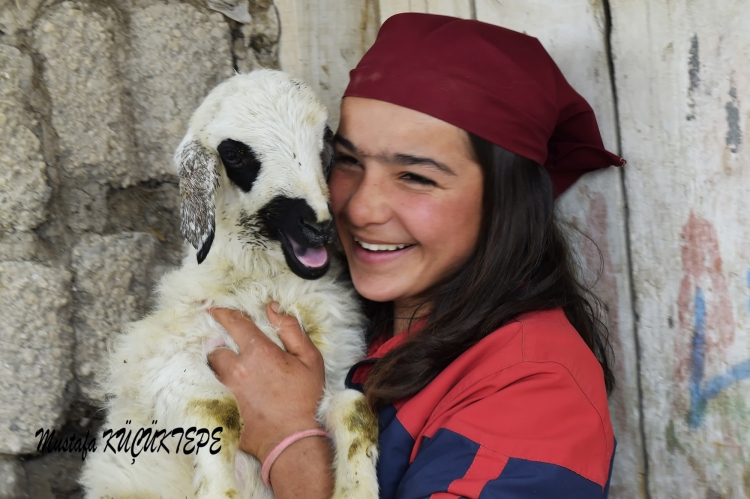 SEV�ML� DOSTLARIMIZ