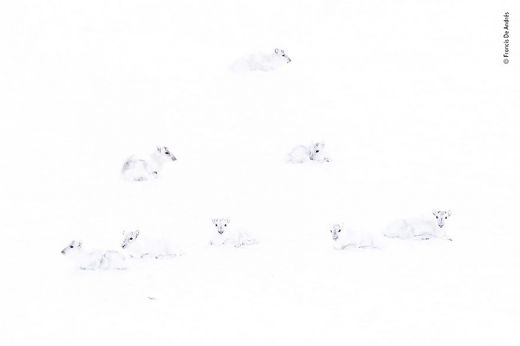 Objektife B�yle Yakaland�lar