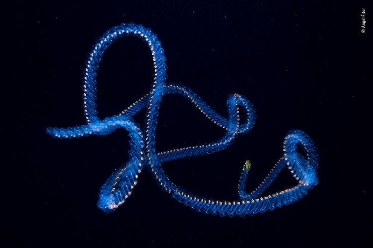 Objektife B�yle Yakaland�lar