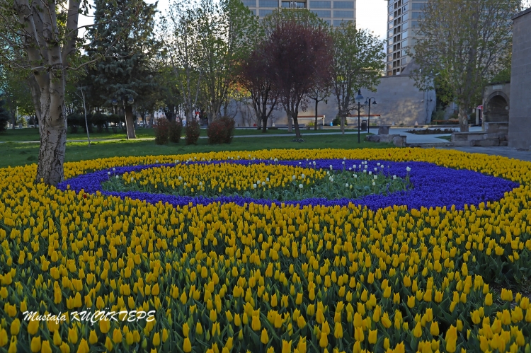 LALEZAR LALE BAHÇESİ