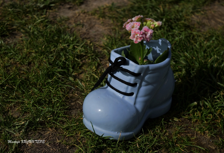 Mavili Foto�raflar