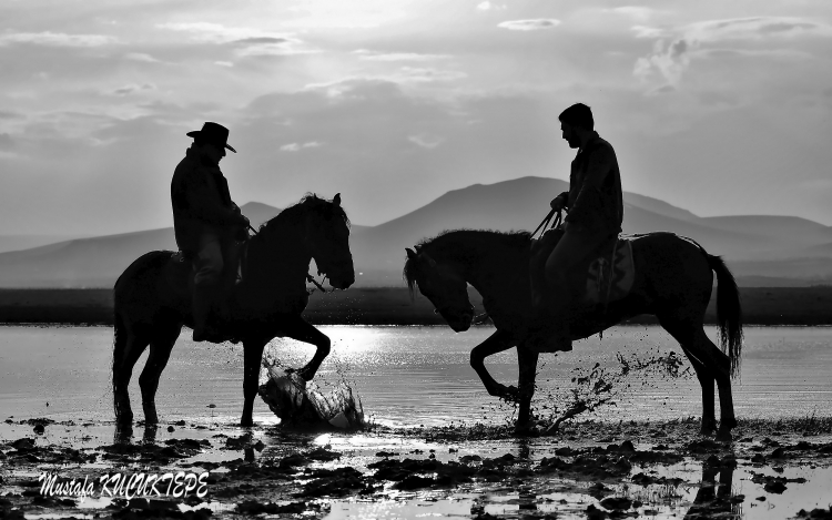 Siyah Beyaz Foto�raflar