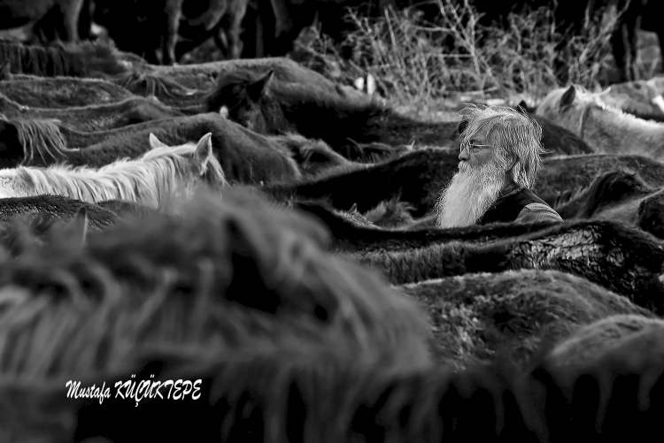 Siyah Beyaz Fotoğraflar