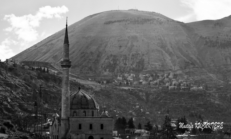 Siyah Beyaz Foto�raflar