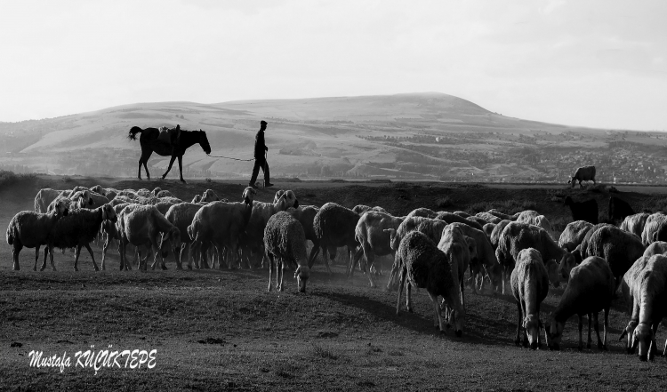 Siyah Beyaz Foto�raflar