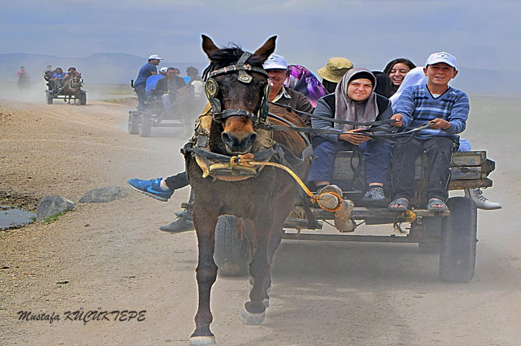 Foto�rafta Hareket