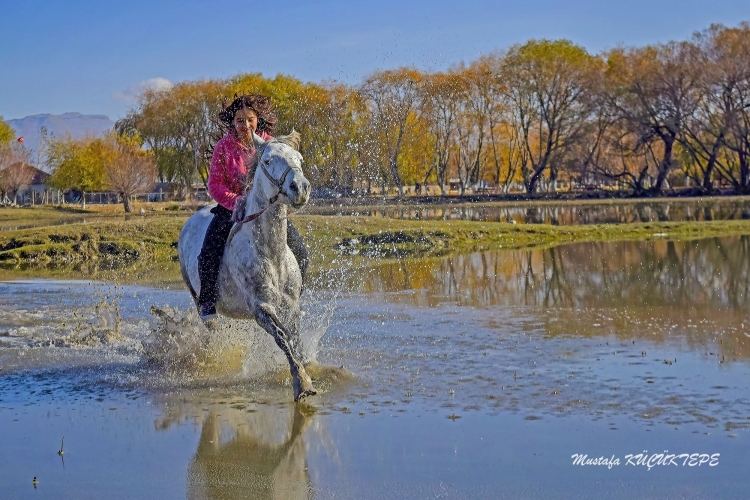 Foto�rafta Hareket