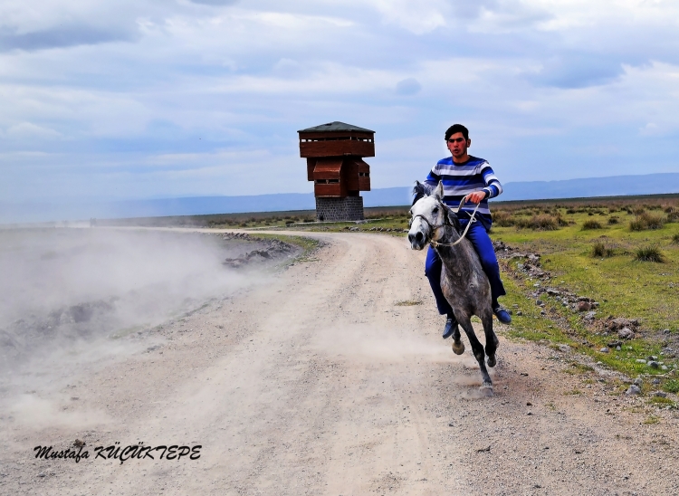 Foto�rafta Hareket