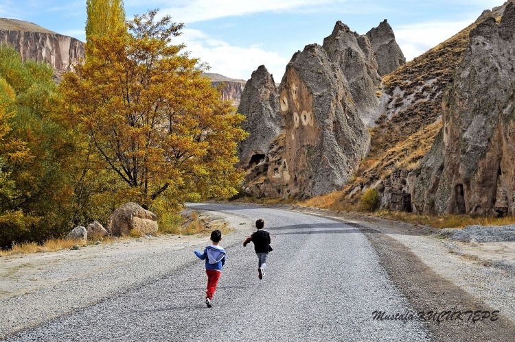 Foto�rafta Hareket