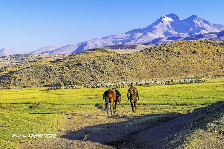 Ye�illi Foto�raflar