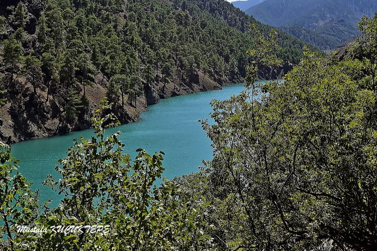 Ye�illi Foto�raflar