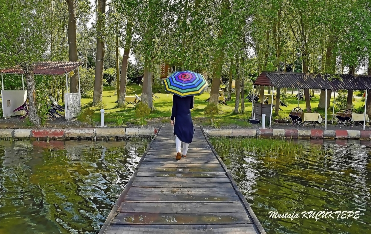 Ye�illi Foto�raflar