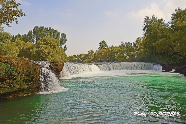 Ye�illi Foto�raflar