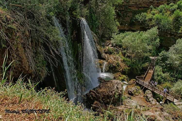 Yeşilli Fotoğraflar