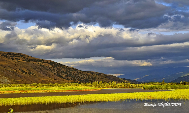 Sar�l� Foto�raflar