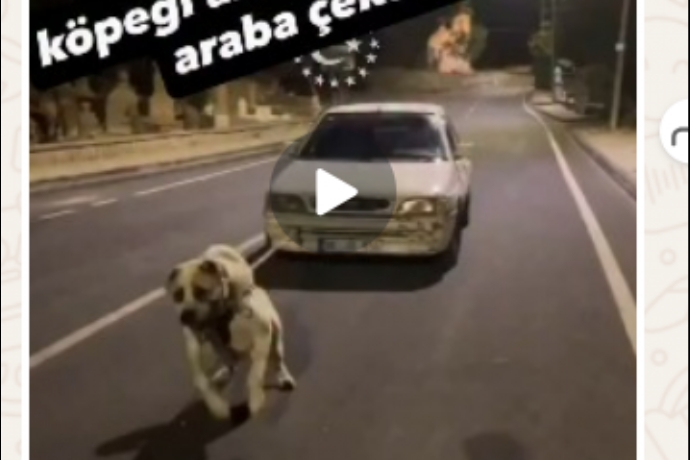 Kpei Otomobile Balayp ektiren ahsa Ceza Yad