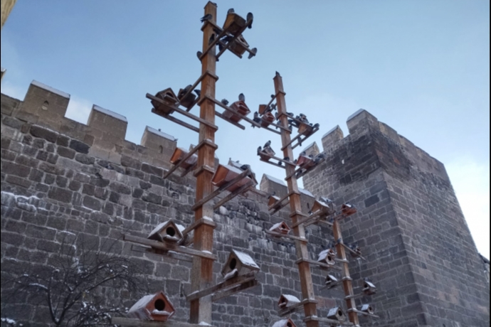 Kayseri'de G�vercinlere �efkatli Dokunu�