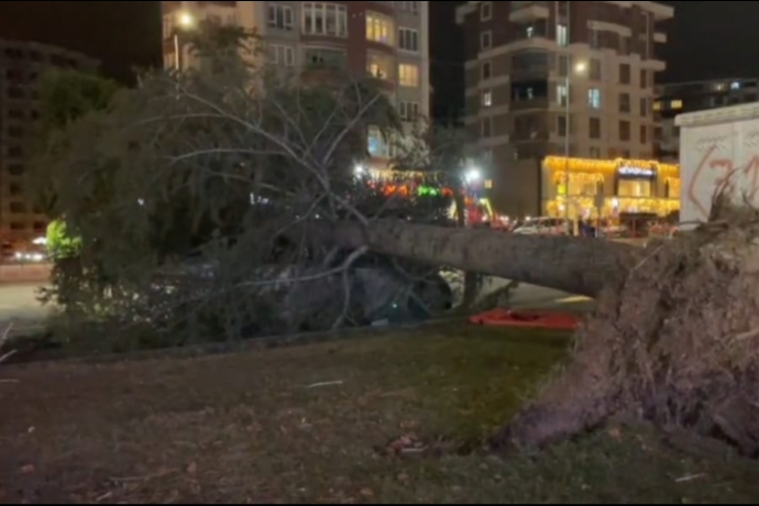 Kayseri�de �iddetli R�zgar A�ac� Otomobilin �zerine Devirdi