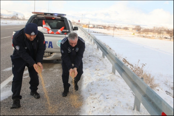 So�uk G�nlerde Sessiz Dostlara �efkat Eli: Develi�de Sokak Hayvanlar� Unutulmad�