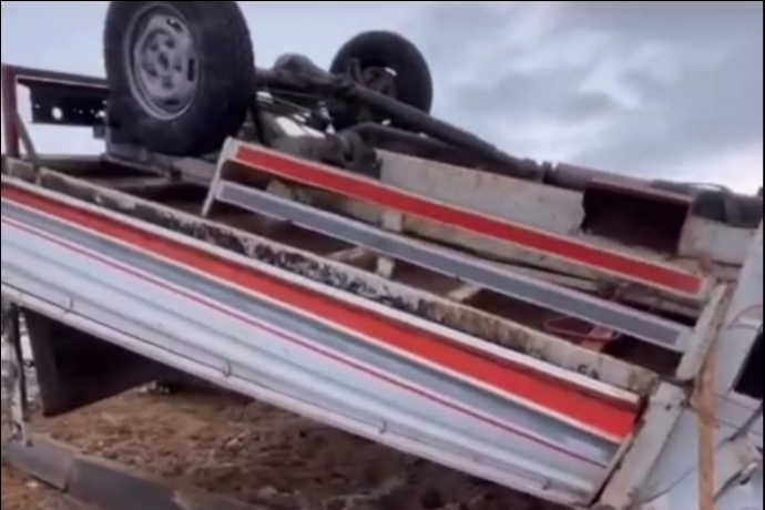 Kav�akta Kontrol Kayboldu: Kamyonet Takla Att�, B�y�kba� Hayvanlar Yola Savruldu