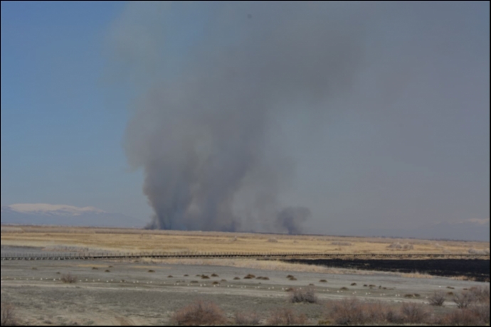 Kuş Cennetinde Korkutan Yangın: Sultan Sazlığı’nda Alevlerle Mücadele Sürüyor