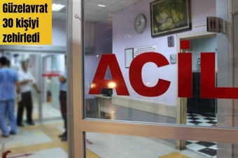 Güzelavrat otunu yiyen 30 kişi zehirlendi