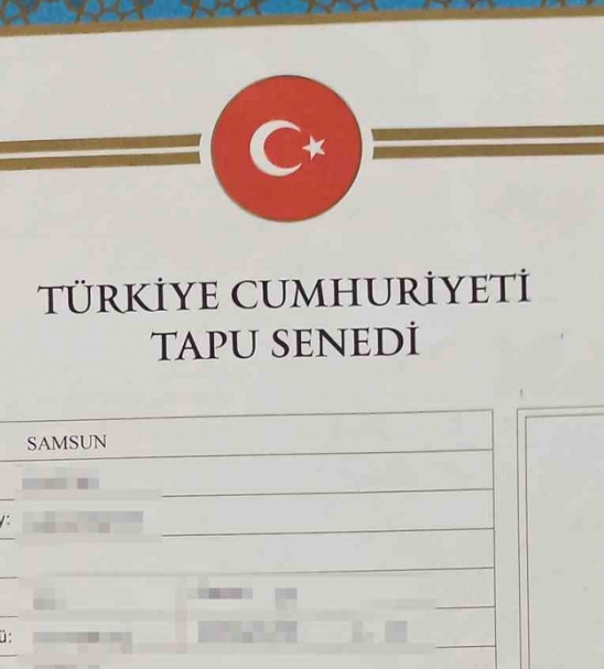 Tapuda yeni dnem: 2024 ylnn sonunda tapu ilemleri kolaylaacak